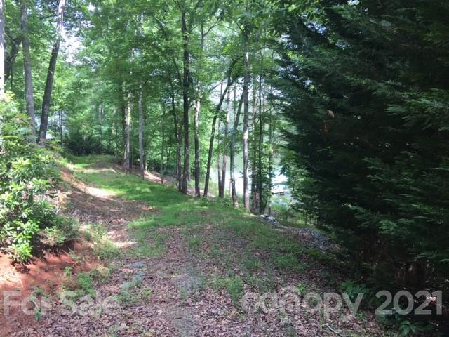 11 South Pointe Road Mill Spring, NC 28756 - Photo 2 of 4 a view of outdoor space and green space