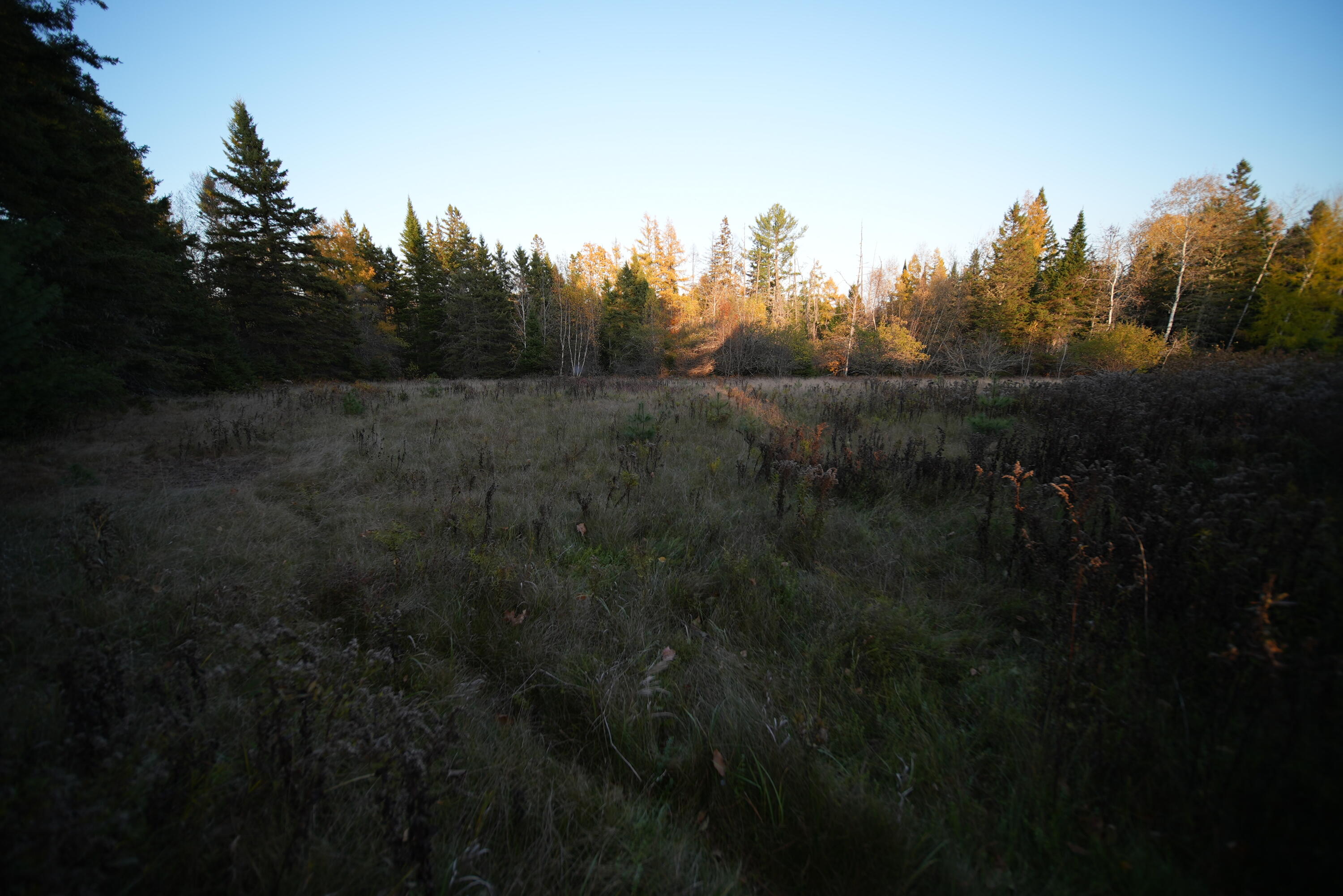 1599 Military (rt 2a) Road Wytopitlock, ME 04497 - Photo 8 of 10 DSC00214