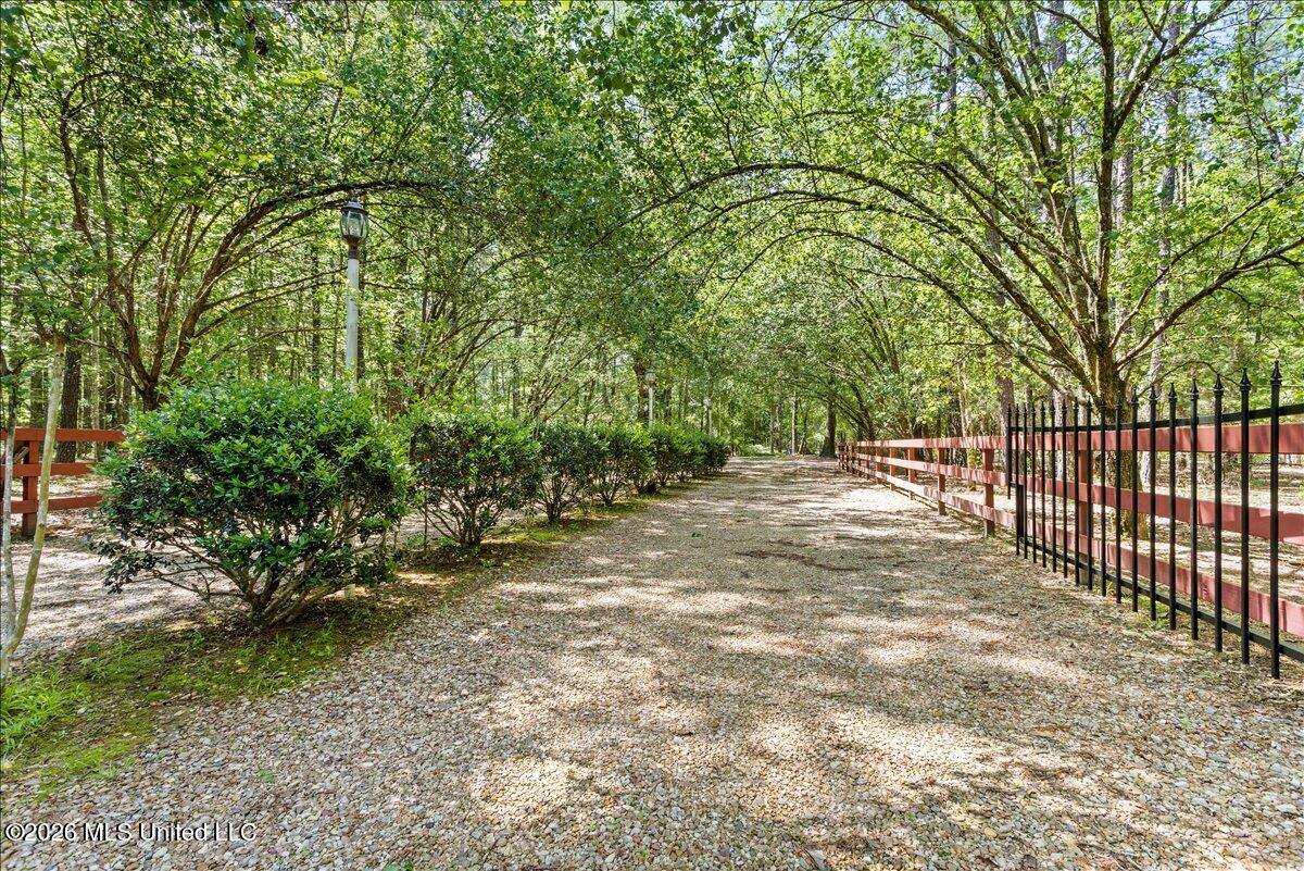 121 Cemetery Road Tylertown, MS 39667 - Photo 36 of 50 36-HJ0A6462