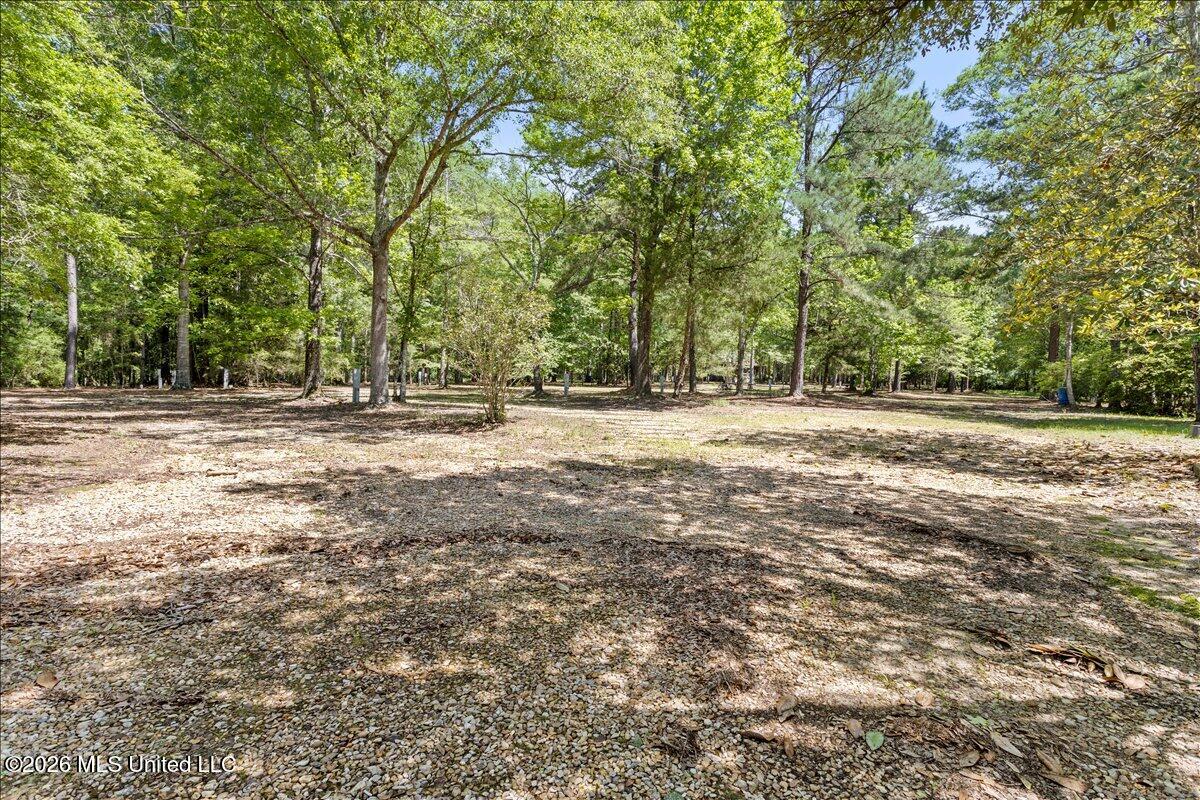 121 Cemetery Road Tylertown, MS 39667 - Photo 49 of 50 49-HJ0A6514
