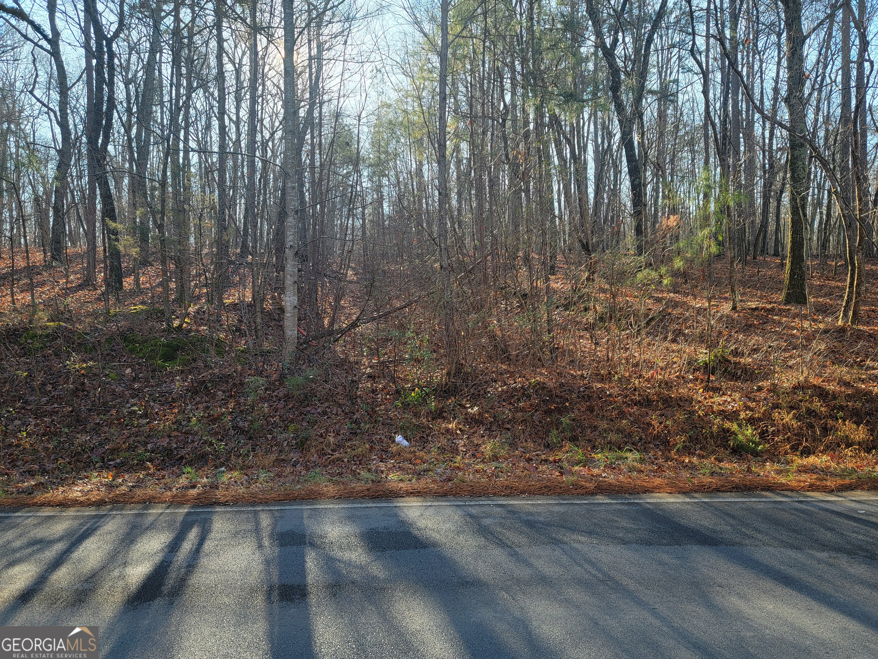 0 Rocky Hollow Road Summerville, GA 30747 - Photo 13 of 14