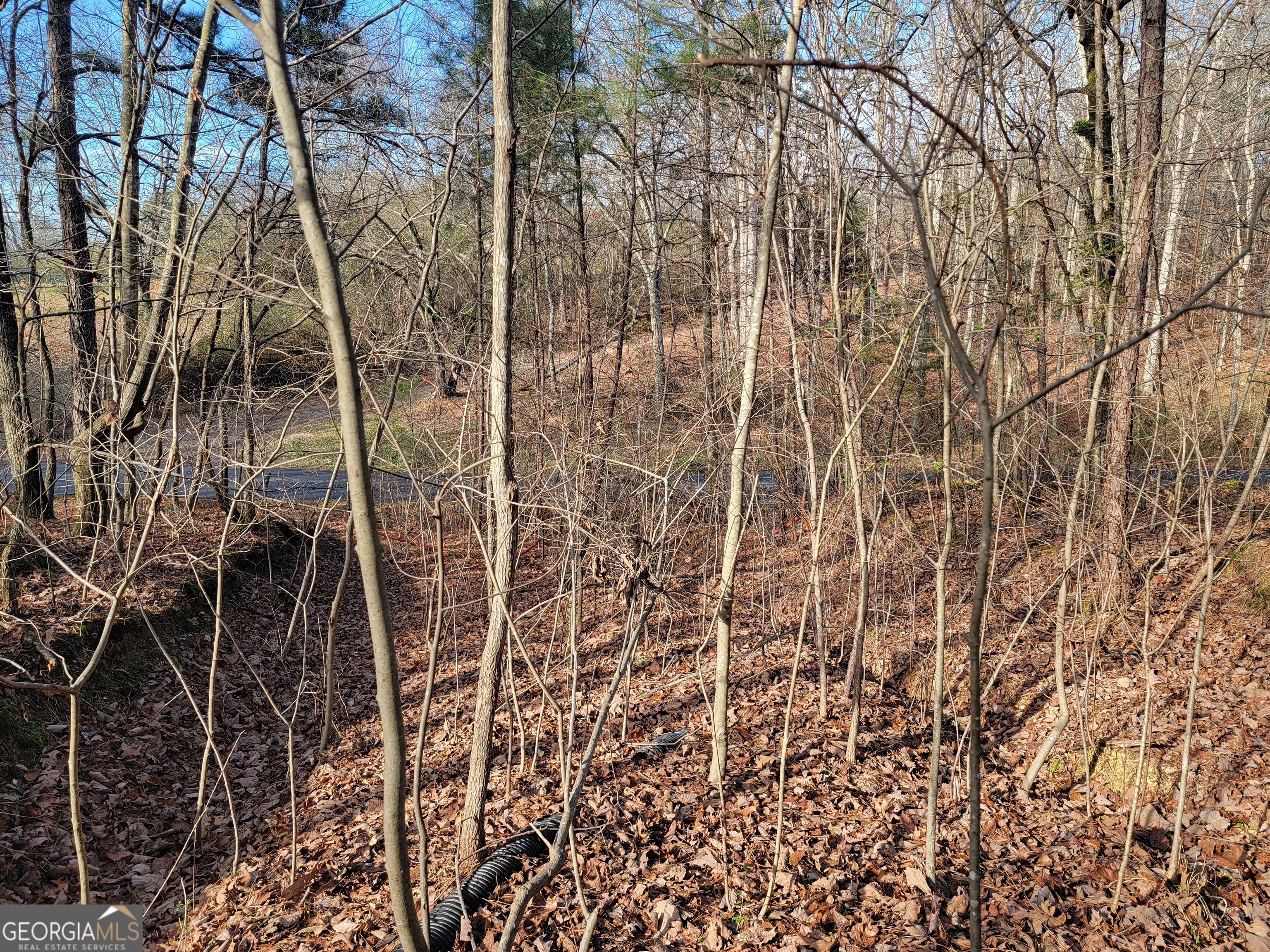 0 Rocky Hollow Road Summerville, GA 30747 - Photo 8 of 14