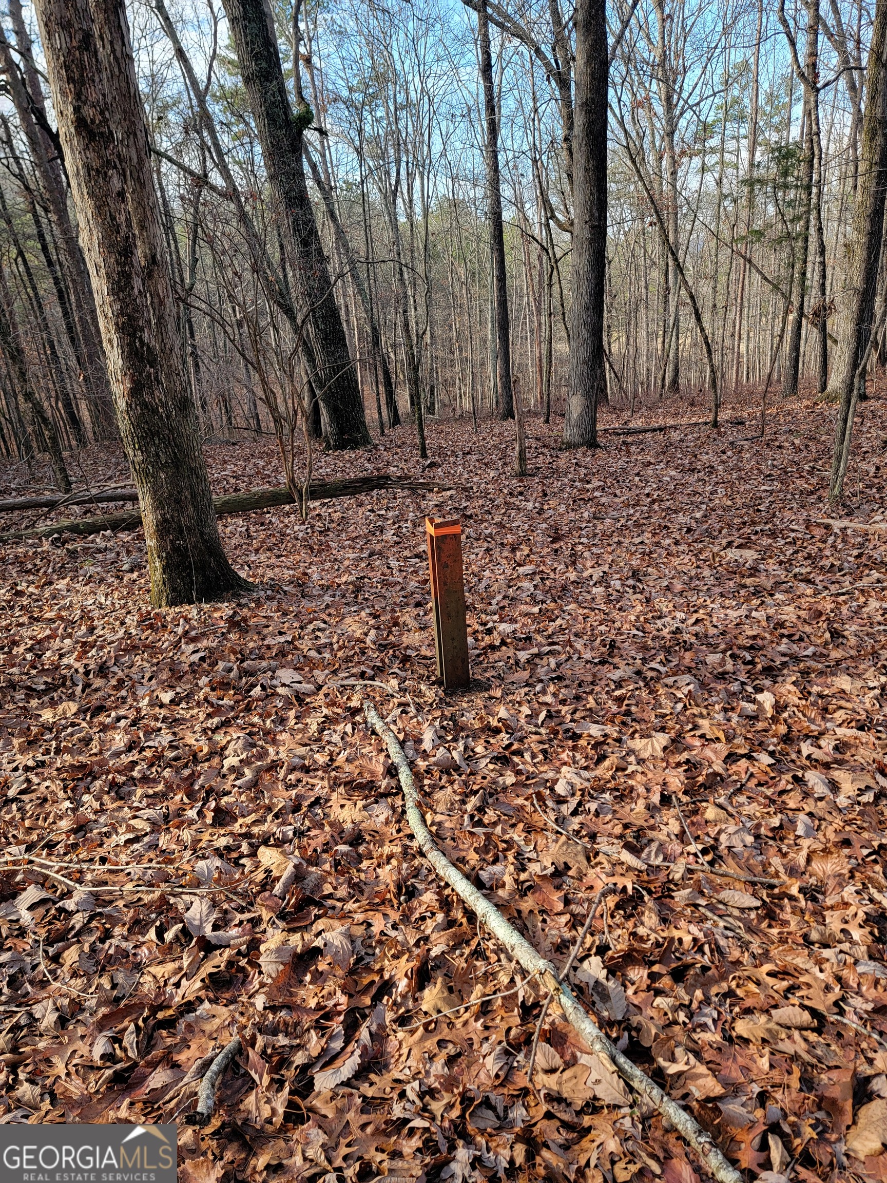 0 Rocky Hollow Road Summerville, GA 30747 - Photo 9 of 14