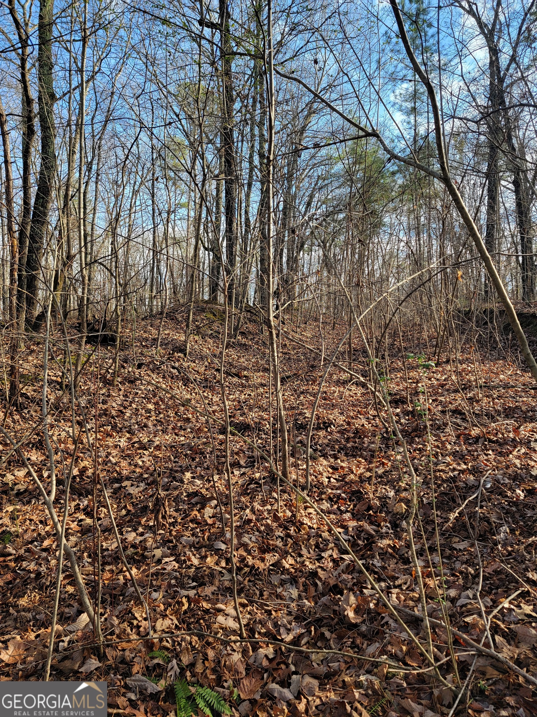 0 Rocky Hollow Road Summerville, GA 30747 - Photo 10 of 14