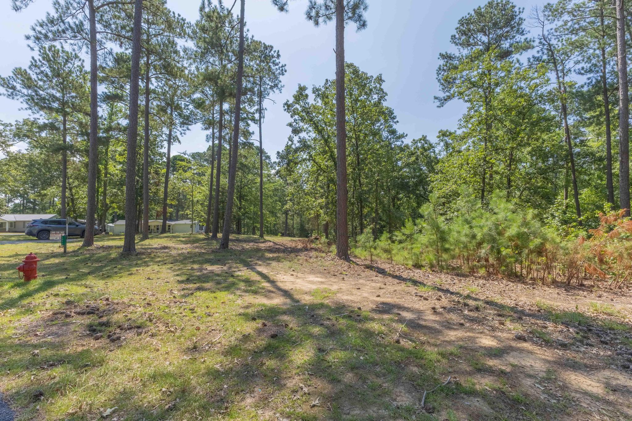 1070 Whitstone Road Lincolnton, GA 30817 - Photo 6 of 19