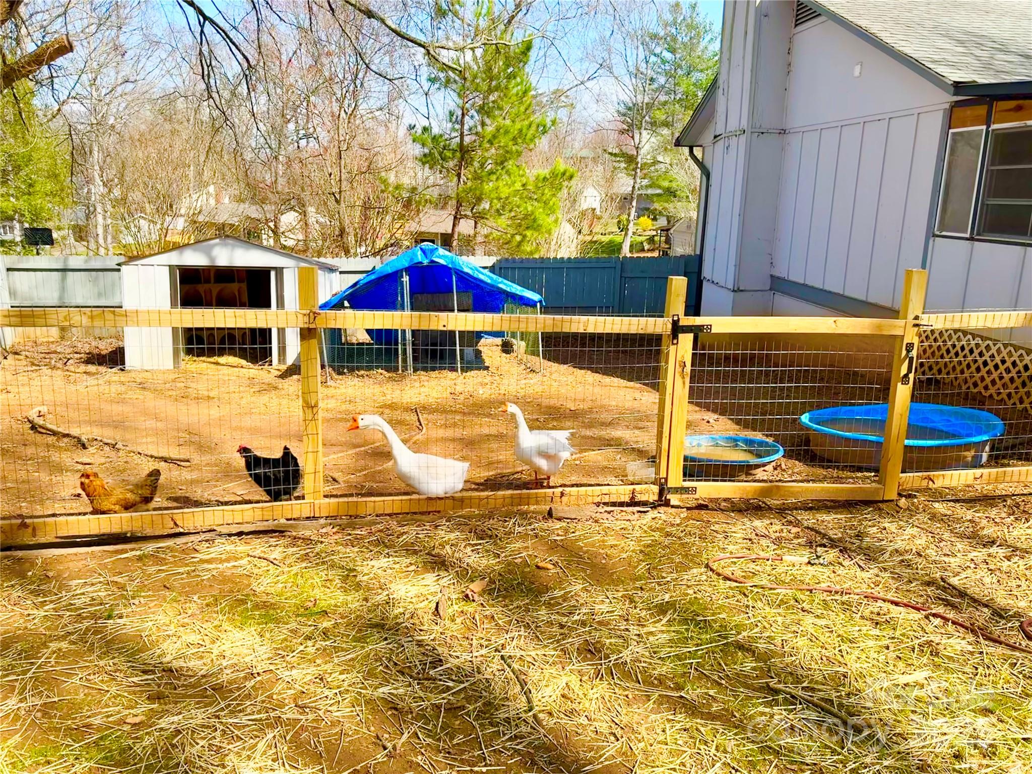 1 Spring Valley Drive Arden, NC 28704 - Photo 32 of 39 a view of an house with swimming pool