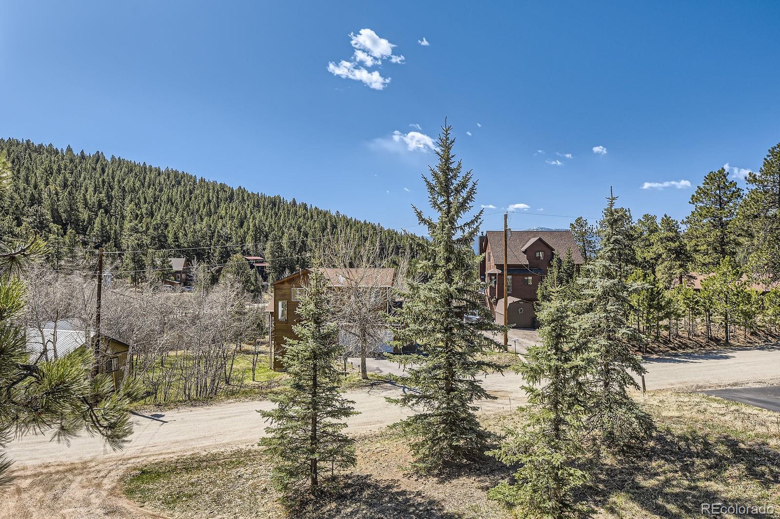 49 Silver Springs Road Bailey, CO 80421 - Photo 31 of 34 a view of a house with a yard