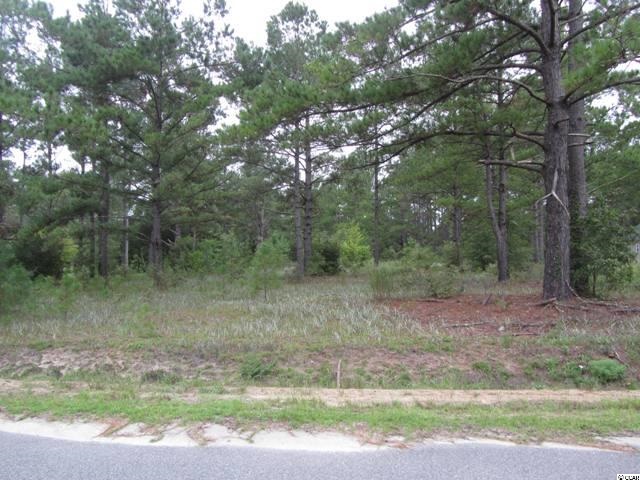 2280 B B Watson Road Conway, SC 29526 - Photo 3 of 4 Gallery Image 3