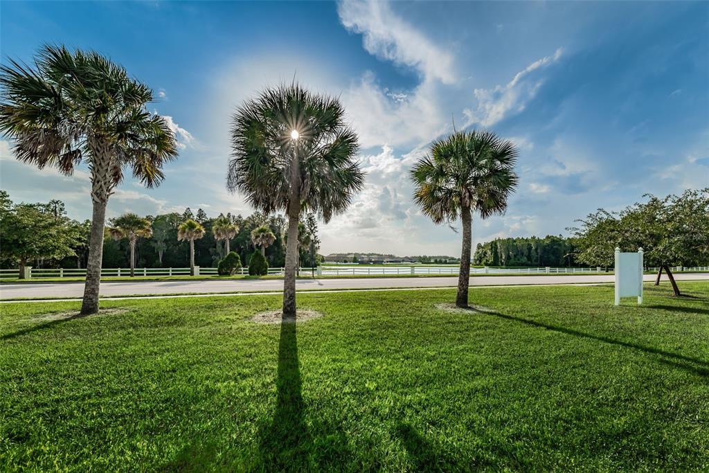 1345 Halapa Way Trinity, FL 34655 - Photo 91 of 93
