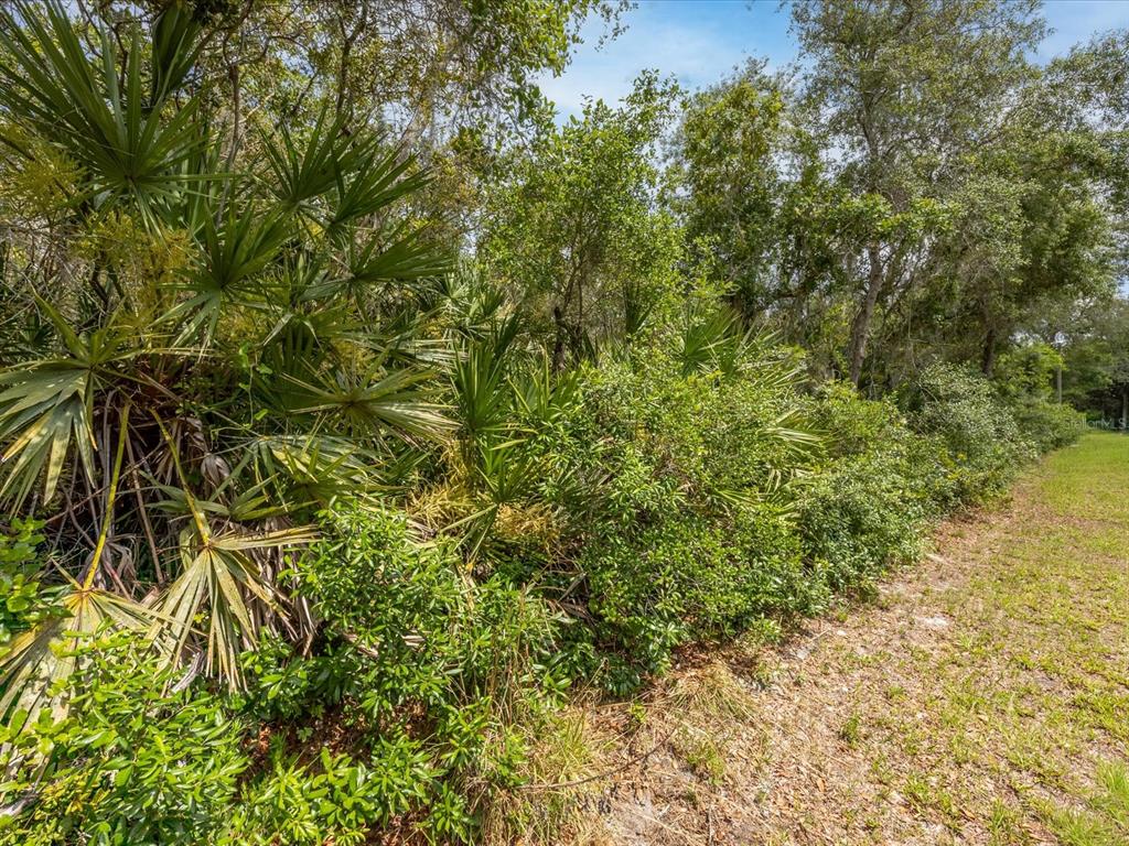 1385 5th Avenue DeLand, FL 32724 - Photo 6 of 6