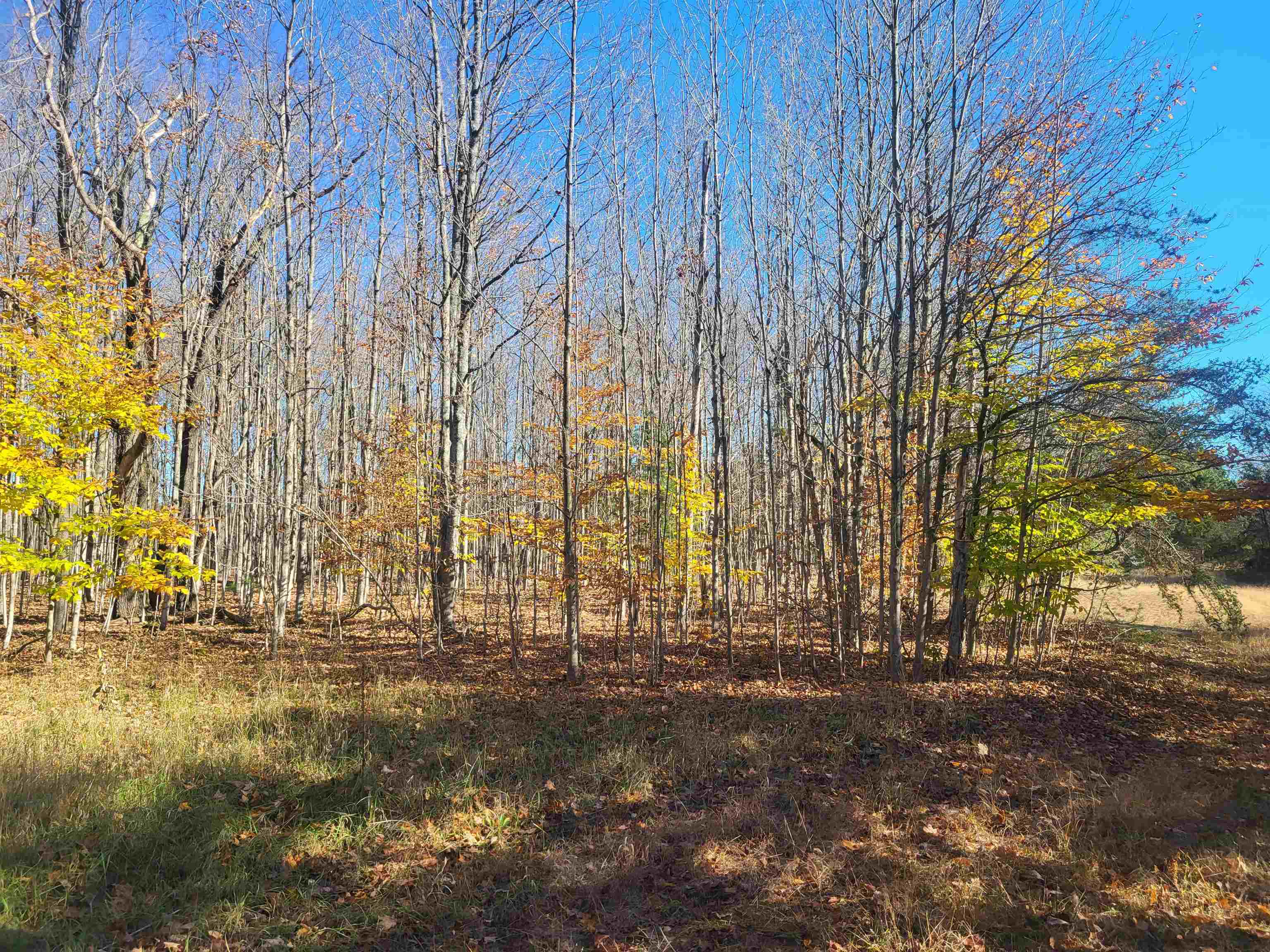 0 South Weldon Road Beulah, MI 49617 - Photo 36 of 37