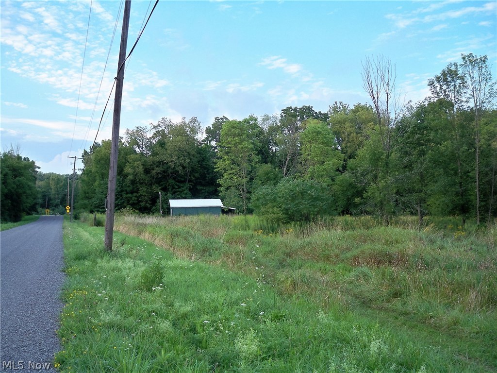 60 Poland Road New Springfield, OH 44443 - Photo 6 of 6