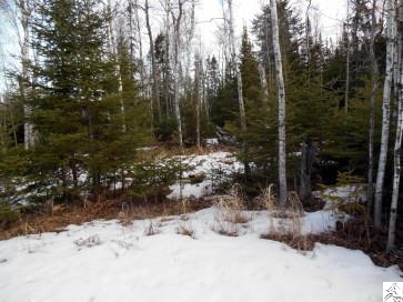 Xxx Fish Lake Dam Road Duluth, MN 55803 - Photo 1 of 5