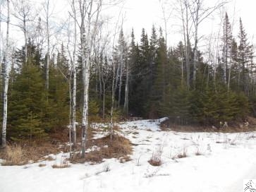 Xxx Fish Lake Dam Road Duluth, MN 55803 - Photo 2 of 5