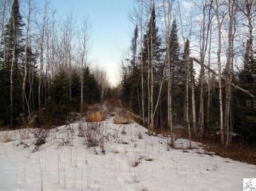 Xxx Fish Lake Dam Road Duluth, MN 55803 - Photo 3 of 5