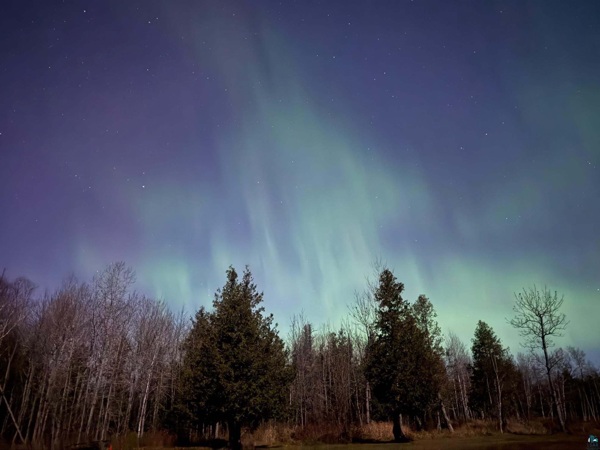 1146 Two Harbors Road Two Harbors, MN 55616 - Photo 39 of 39 View of woods
