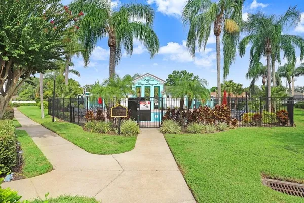 a view of a garden with palm trees