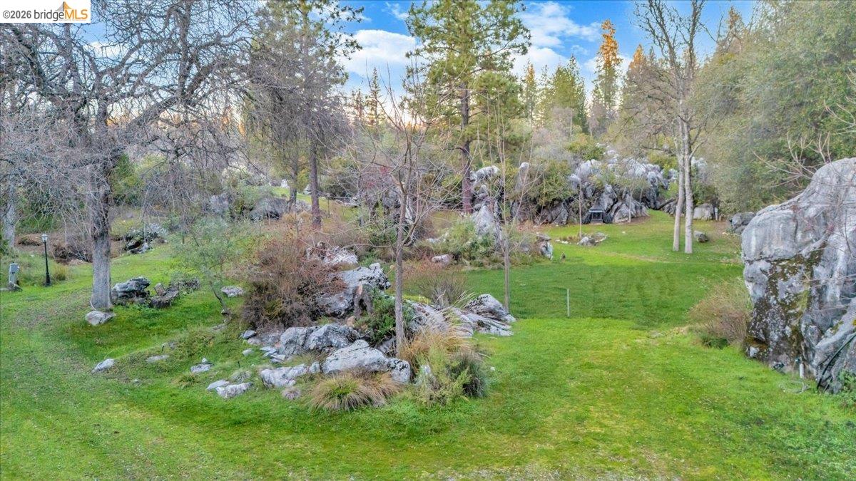 22389 Parrotts Ferry Road Columbia, CA 95310 - Photo 14 of 60 View of green lawn