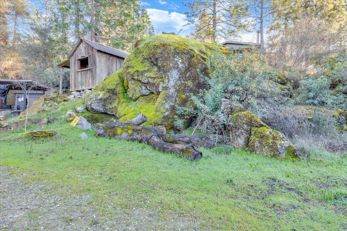 22389 Parrotts Ferry Road Columbia, CA 95310 - Photo 17 of 60 View of yard