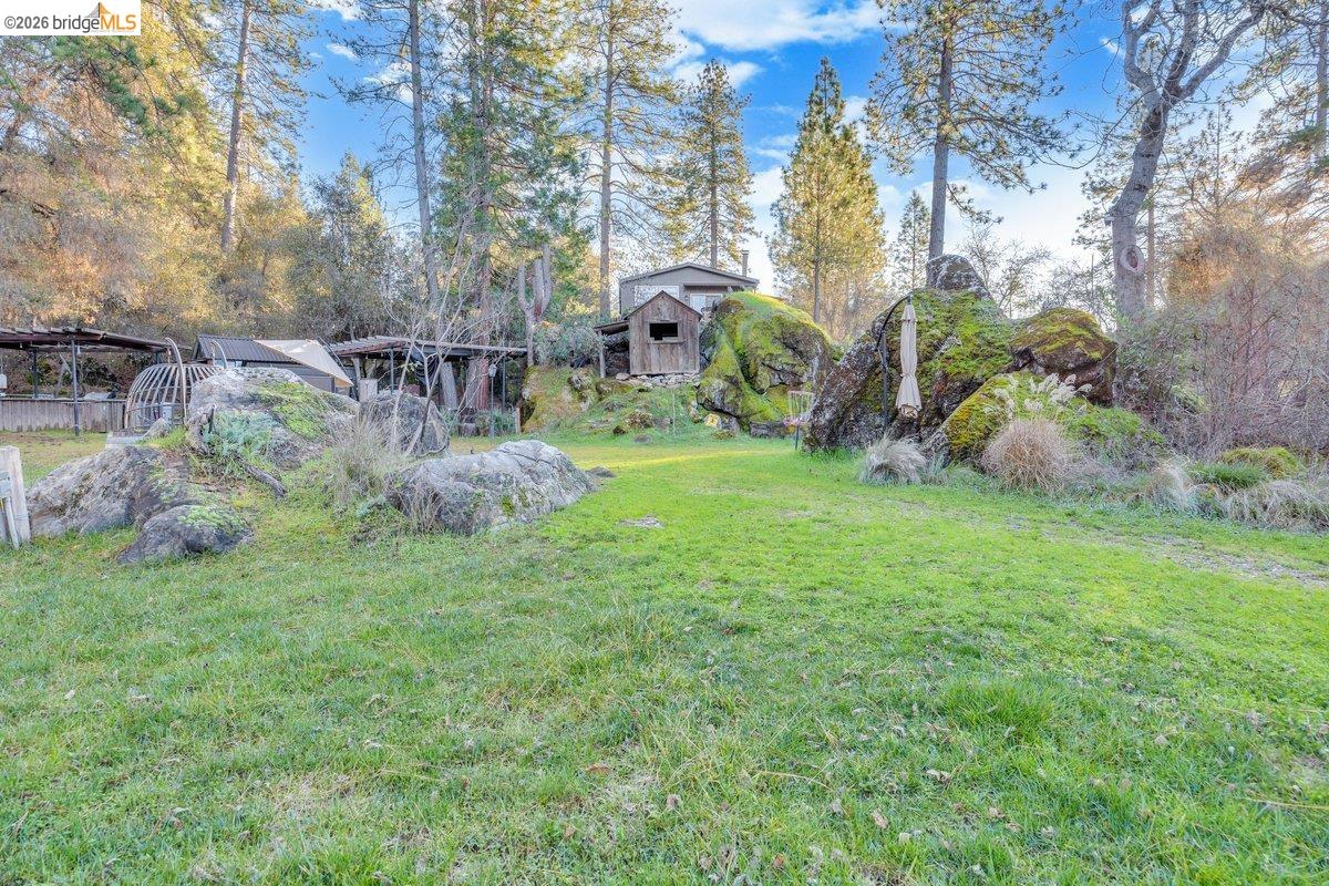 22389 Parrotts Ferry Road Columbia, CA 95310 - Photo 19 of 60 a backyard of a house with lots of green space