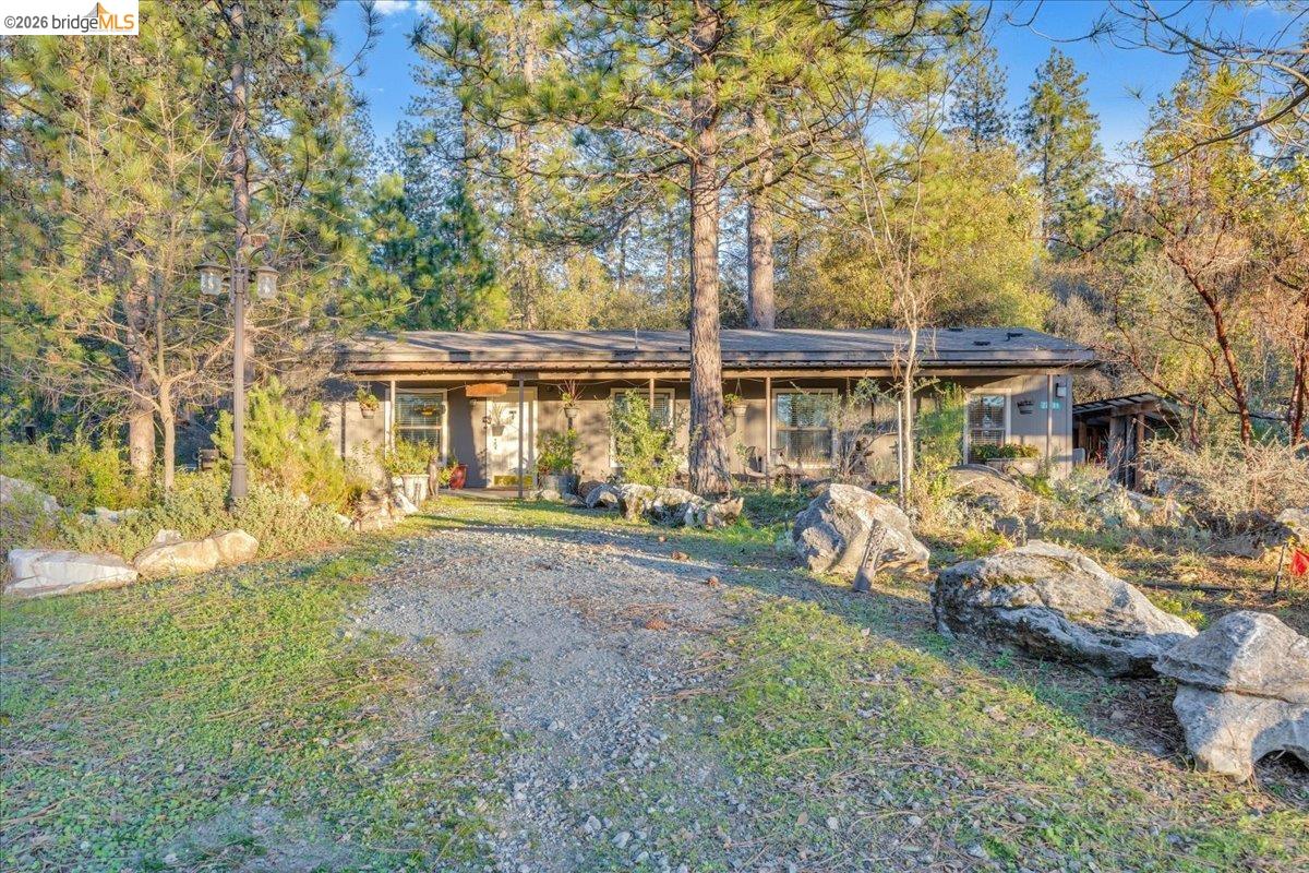 22389 Parrotts Ferry Road Columbia, CA 95310 - Photo 2 of 60 front view of a house with a large tree