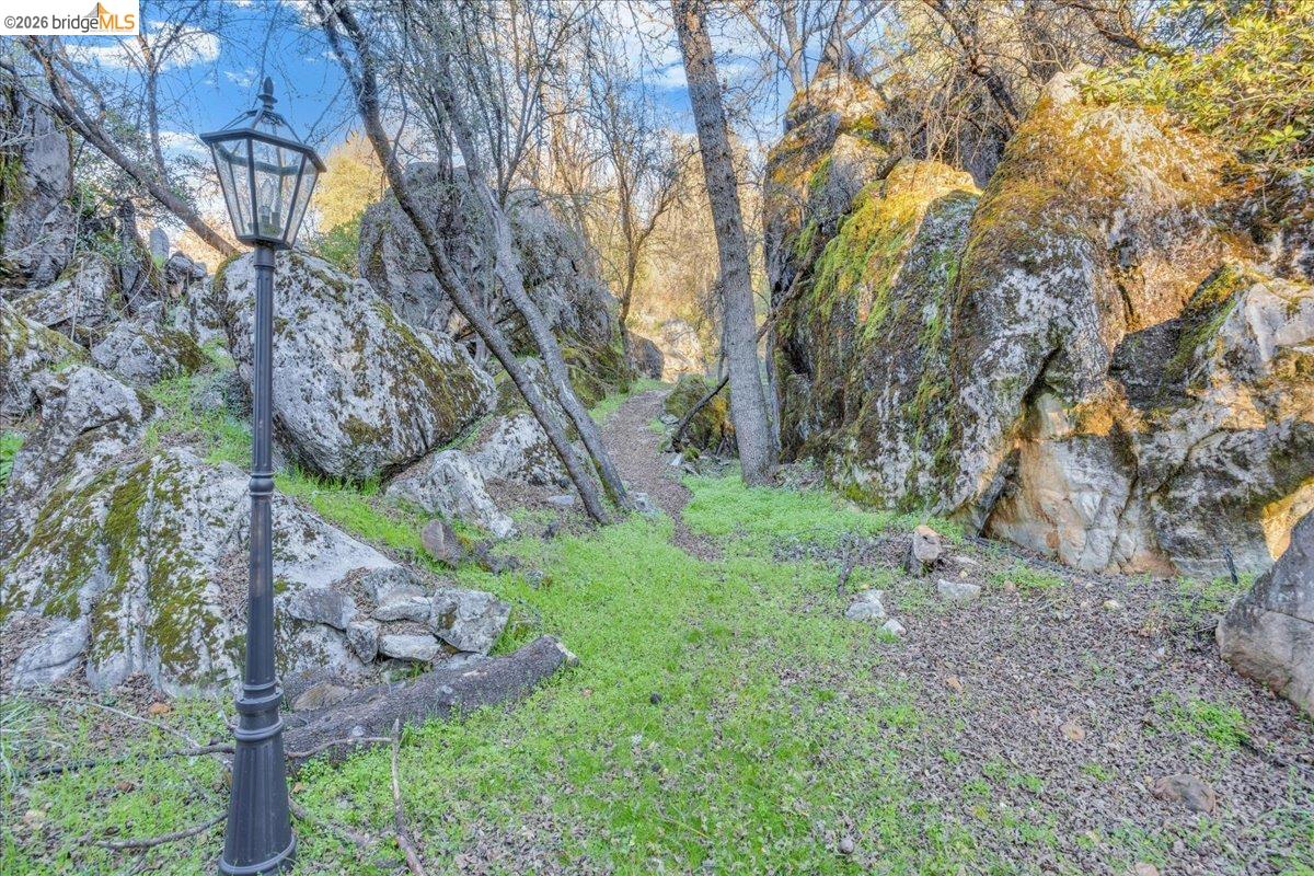 22389 Parrotts Ferry Road Columbia, CA 95310 - Photo 21 of 60 a backyard of a house with lots of green space