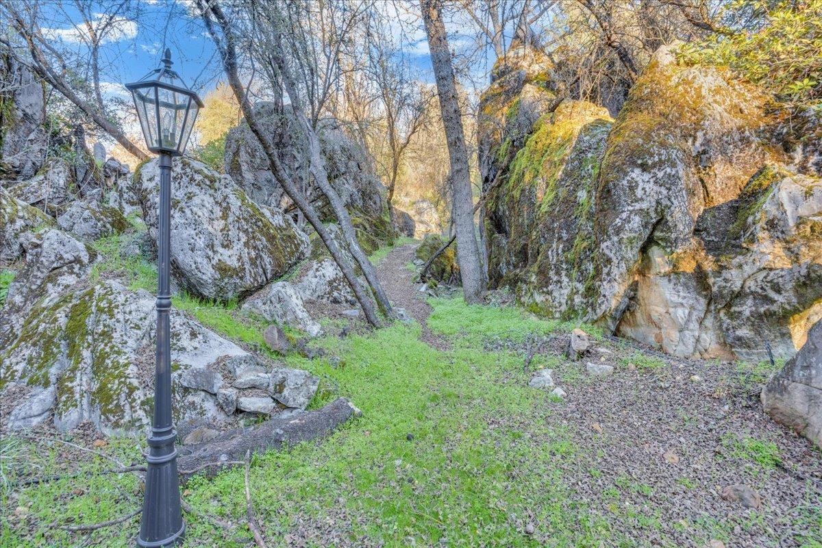 22389 Parrotts Ferry Road Columbia, CA 95310 - Photo 21 of 60 View of yard