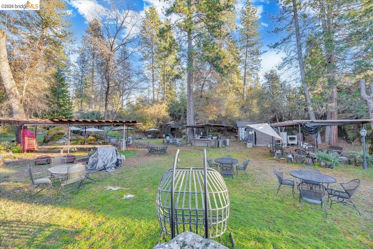 22389 Parrotts Ferry Road Columbia, CA 95310 - Photo 22 of 60 View of green lawn with view of scattered trees