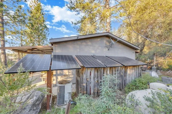 a view of a yard with plants