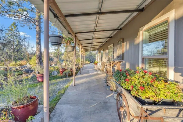 a view of a porch with chairs and potted plants