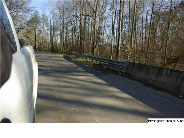 Refuge Road, Unit 10 Ragland, AL 35131 - Photo 4 of 6