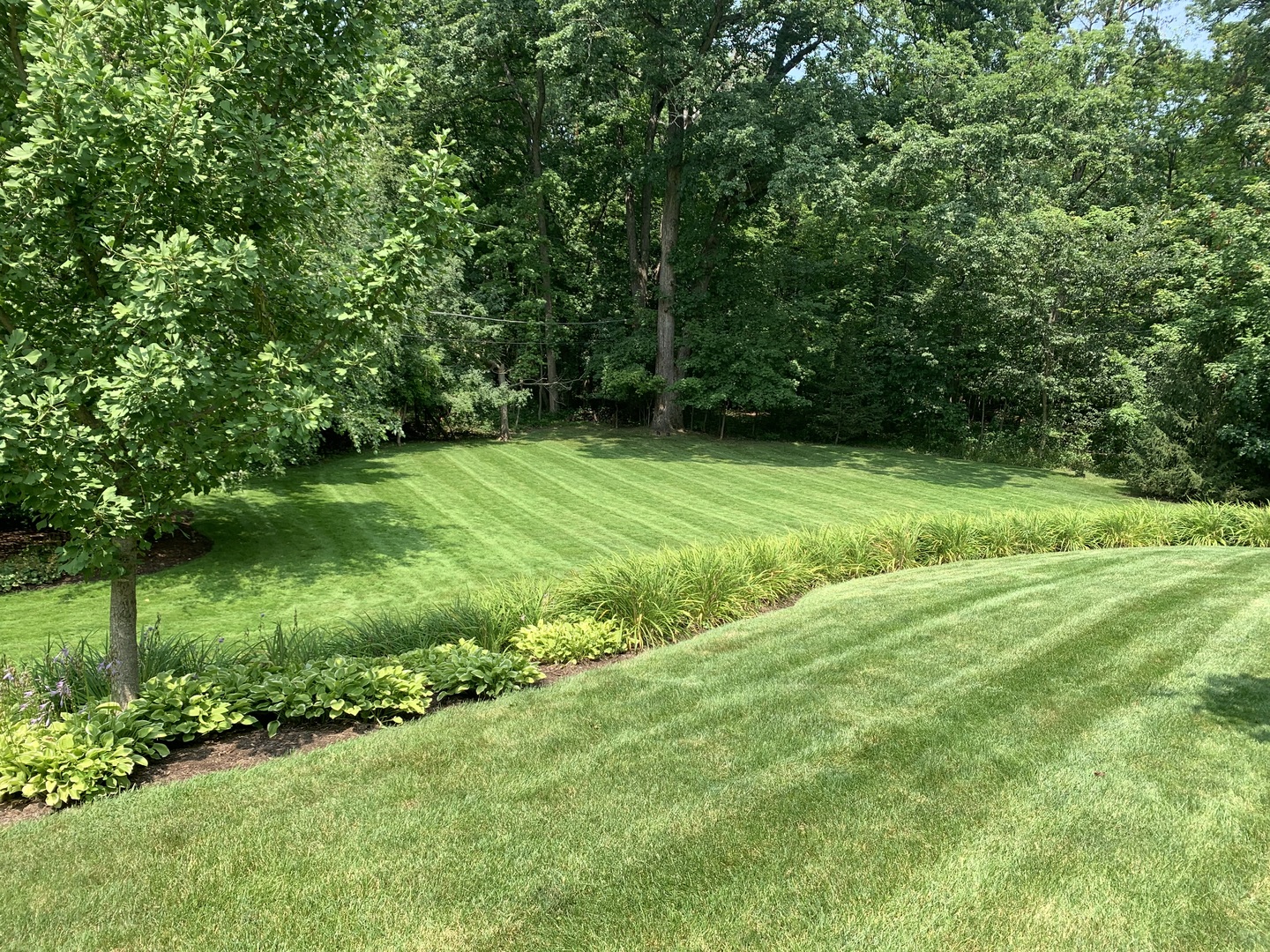 1323 Turvey Road Downers Grove, IL 60515 - Photo 47 of 51 Gallery Image 47