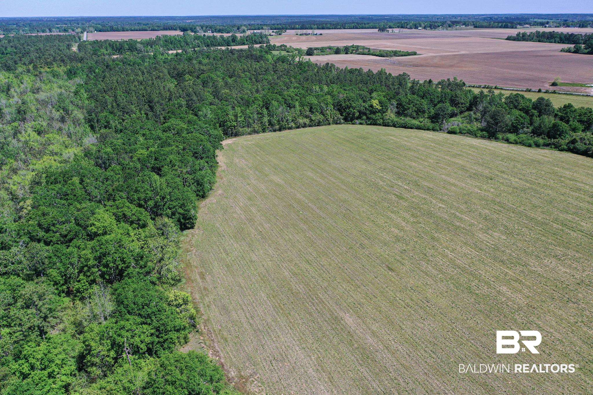 4801 North Pine Barren Road Century, FL 32535 - Photo 9 of 36