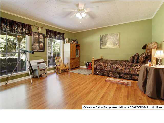 14435 George Rouyea Road Gonzales, LA 70737 - Photo 10 of 15 Gallery Image 10