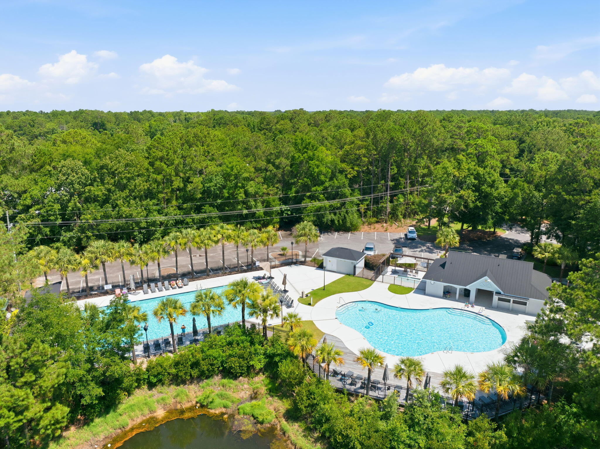 1601 Hopeman Lane Mount Pleasant, SC 29466 - Photo 41 of 43 61-web-or-mls-DJI_0683