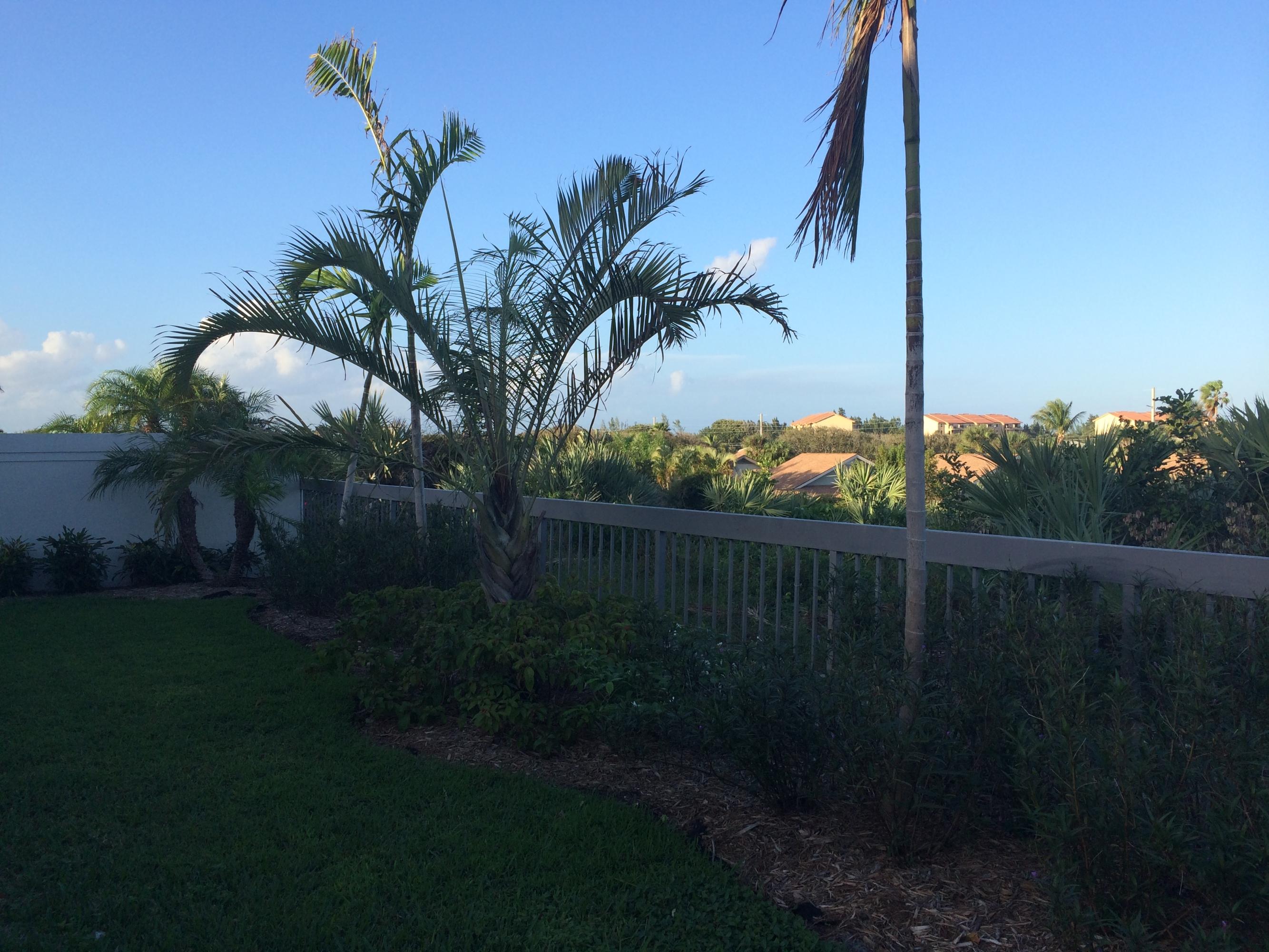 189 Ridge Road Jupiter, FL 33477 - Photo 36 of 38 Backyard Overlooking Ridge