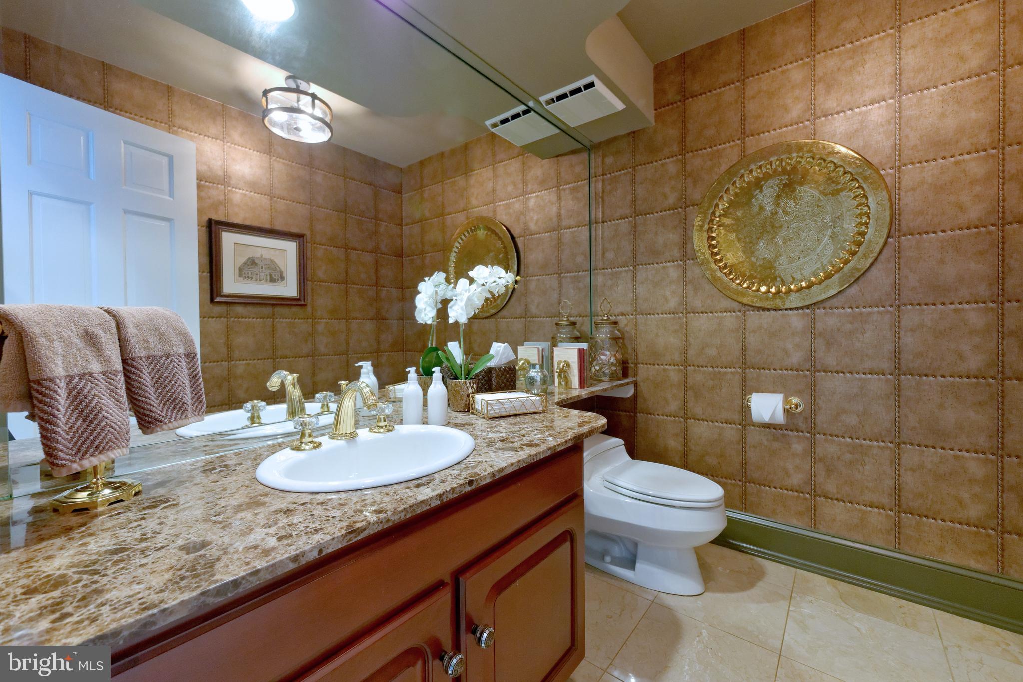 1656 Wildberry Road Bethlehem, PA 18015 - Photo 24 of 46 Guest powder Room -Granite vanity