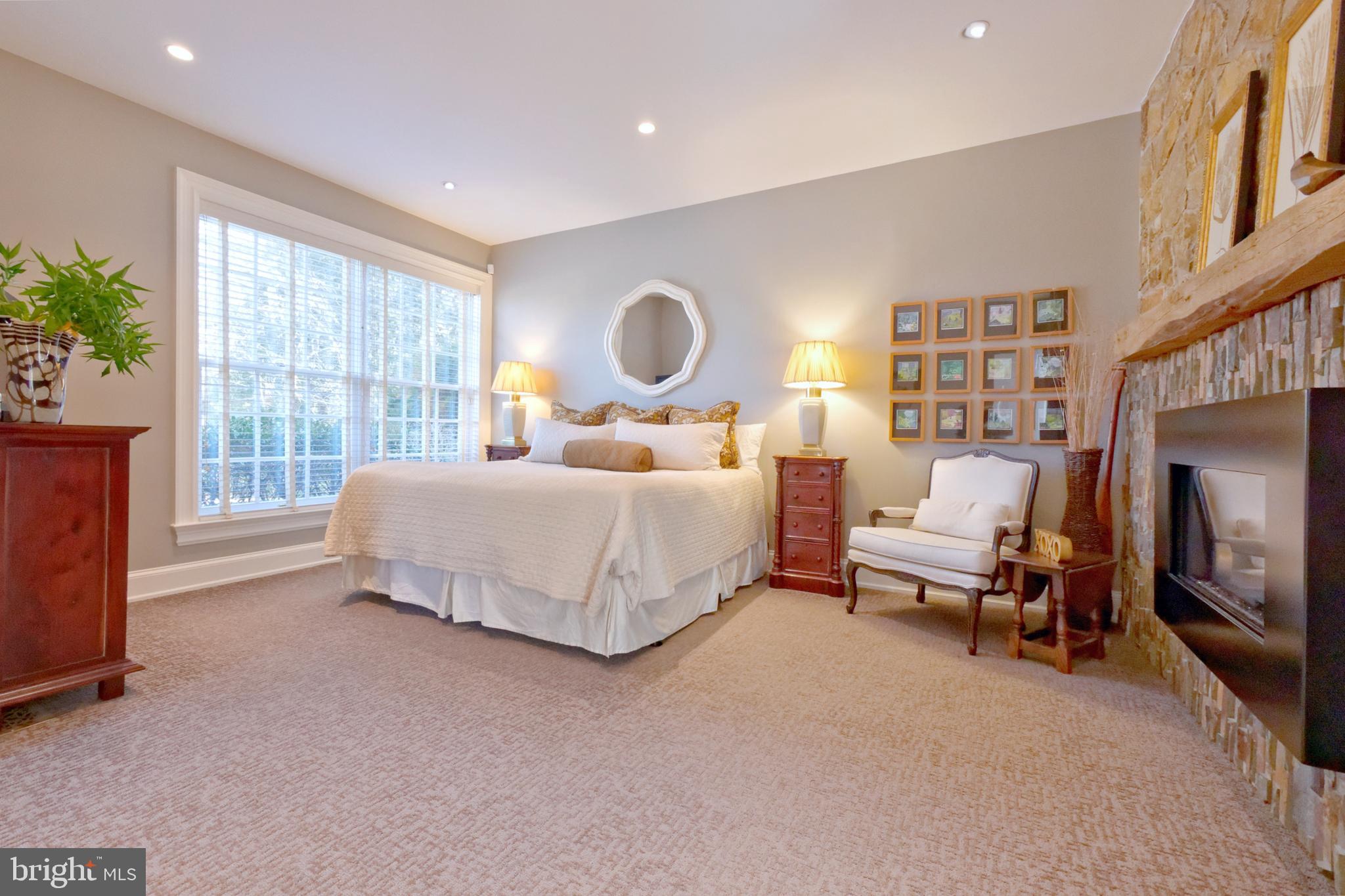 1656 Wildberry Road Bethlehem, PA 18015 - Photo 26 of 46 Master Guest Suite - First Floor