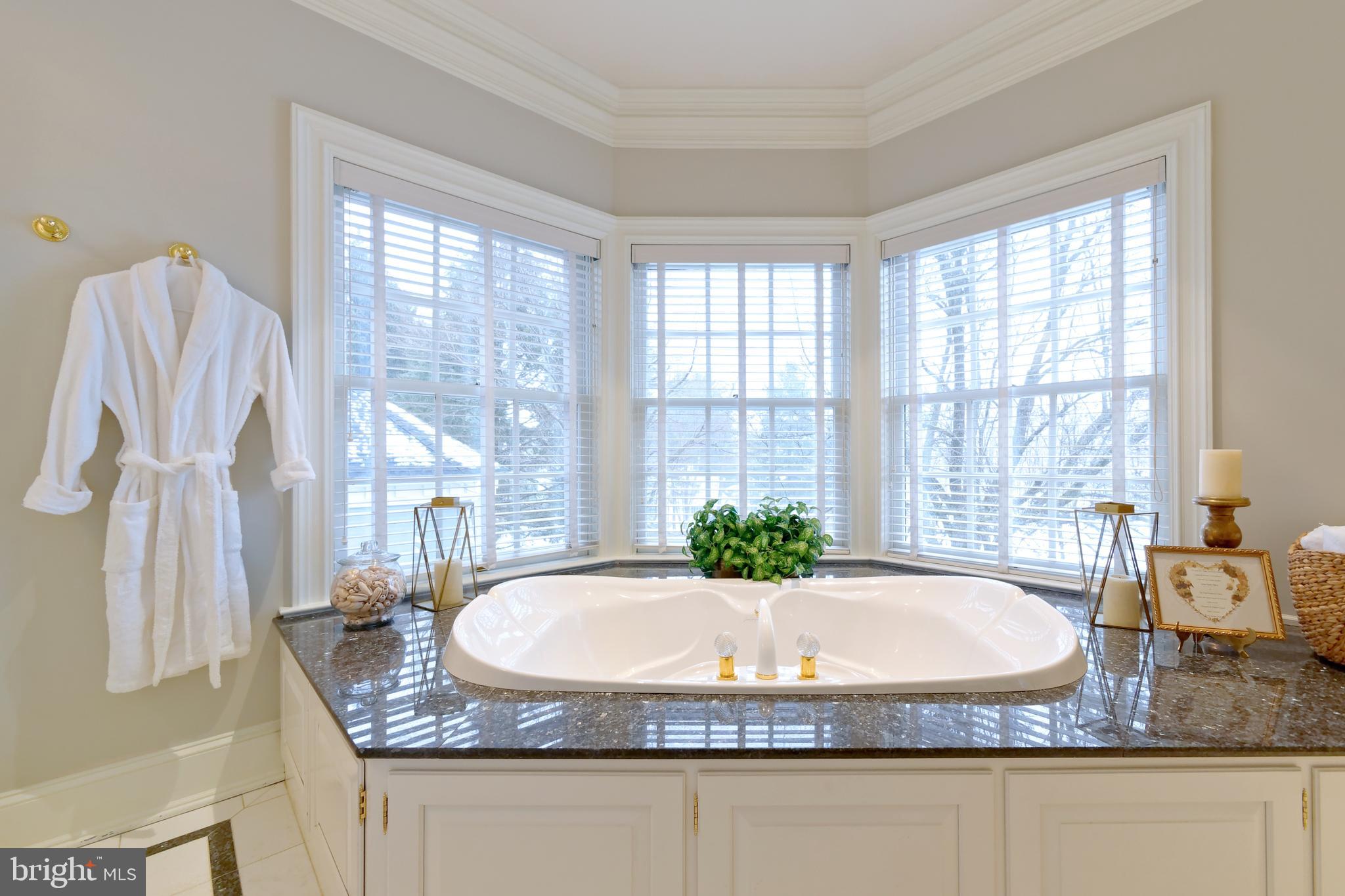 1656 Wildberry Road Bethlehem, PA 18015 - Photo 37 of 46 Jet Tub for two,