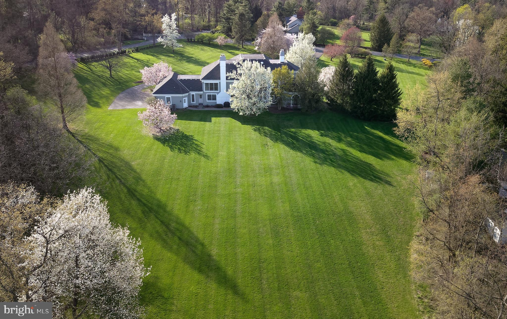 Aerial View from the  Rear lush and tree lined