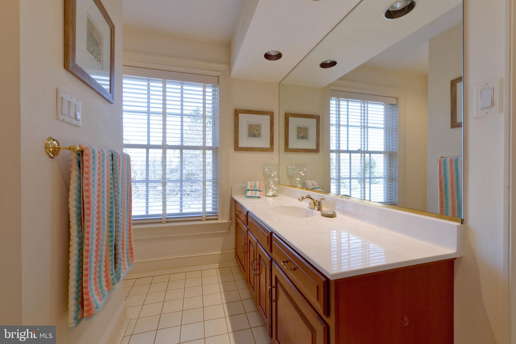 1656 Wildberry Road Bethlehem, PA 18015 - Photo 41 of 46 Bathroom with tub/shower and vanity