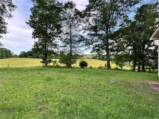 a view of field with trees