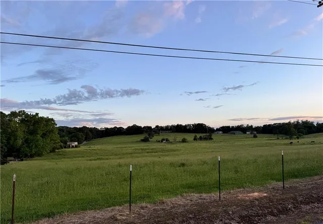 a view of a field with a big yard