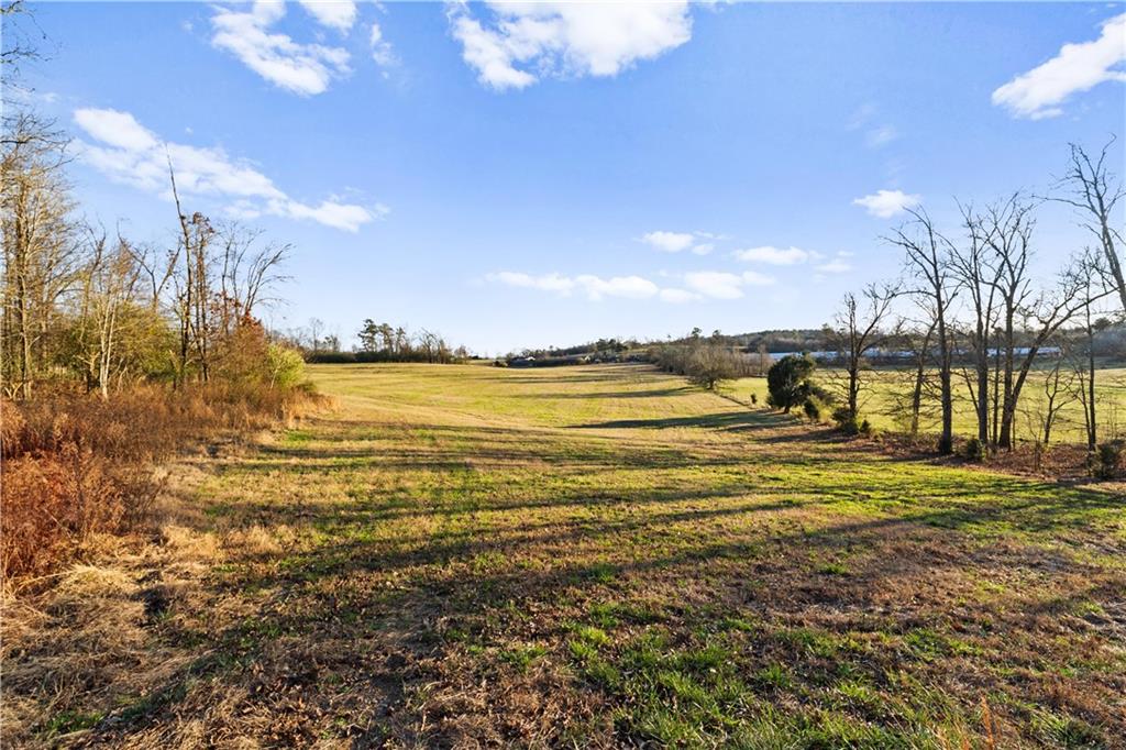 2113 Union Grove Church Road Southeast Adairsville, GA 30103 - Photo 9 of 36 a view of an ocean with a nearby beach