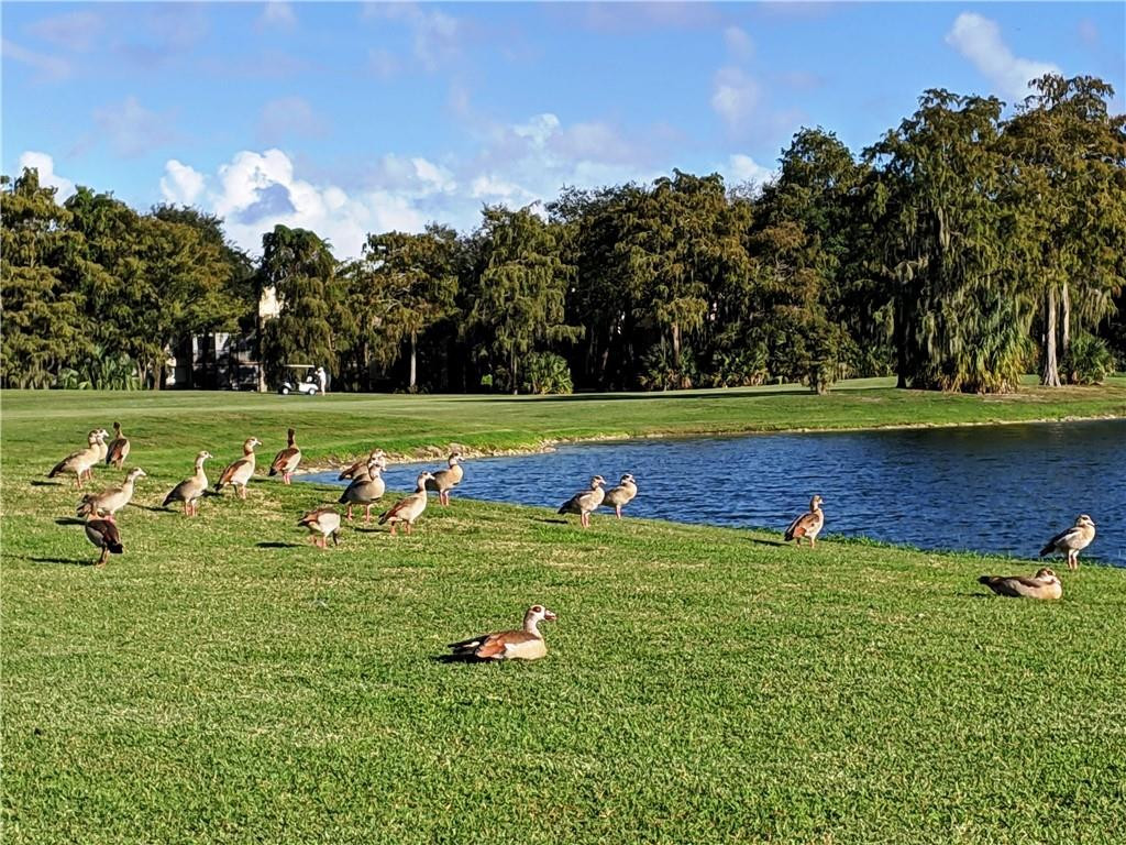 7650 West McNab Road, Unit 310 Tamarac, FL 33321 - Photo 29 of 30 a view of a golf course with a lake