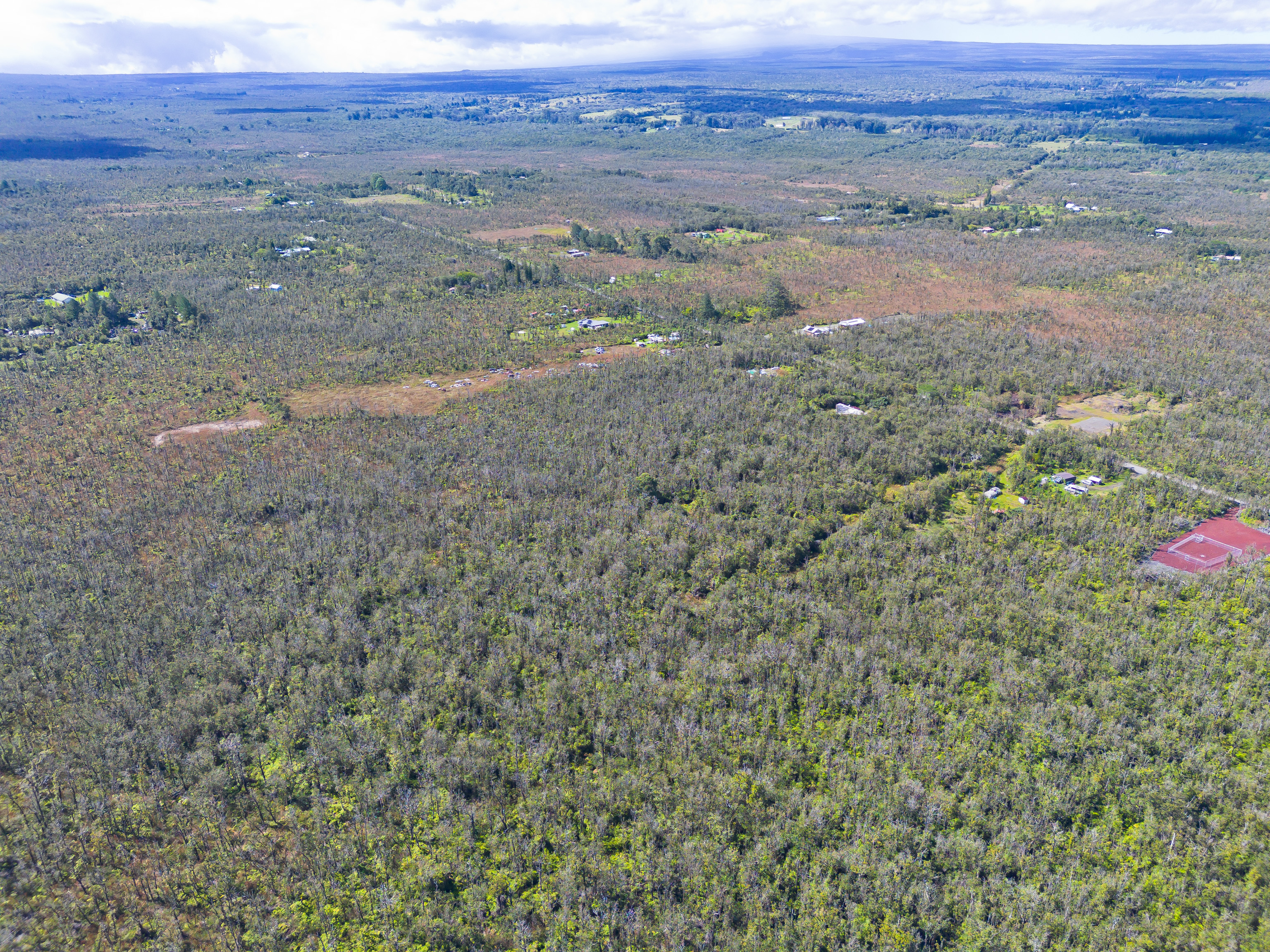 17 Omeka Road Mountain View, HI 96771 - Photo 15 of 30 a view of dirt field with two large trees