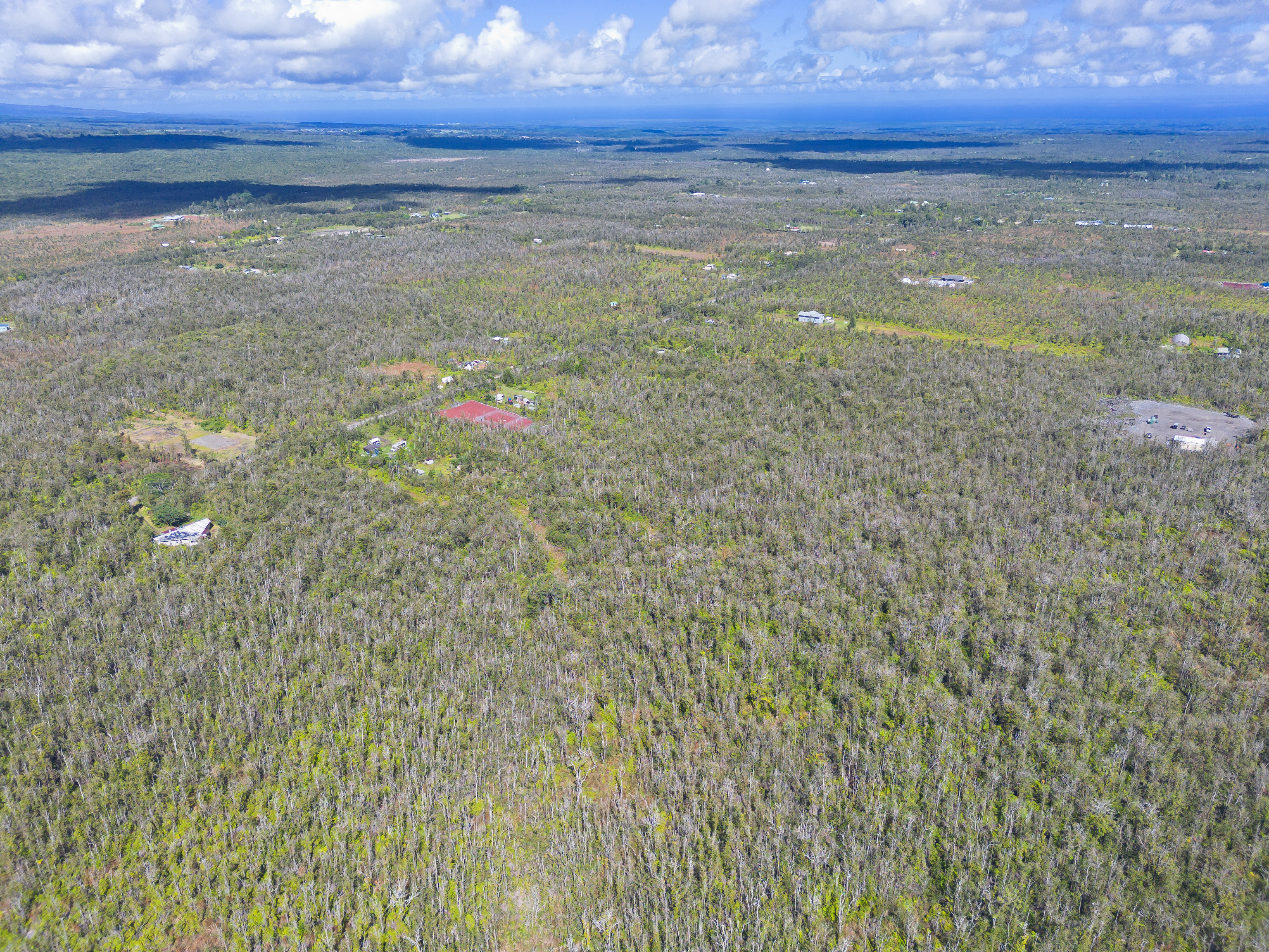 17 Omeka Road Mountain View, HI 96771 - Photo 18 of 30