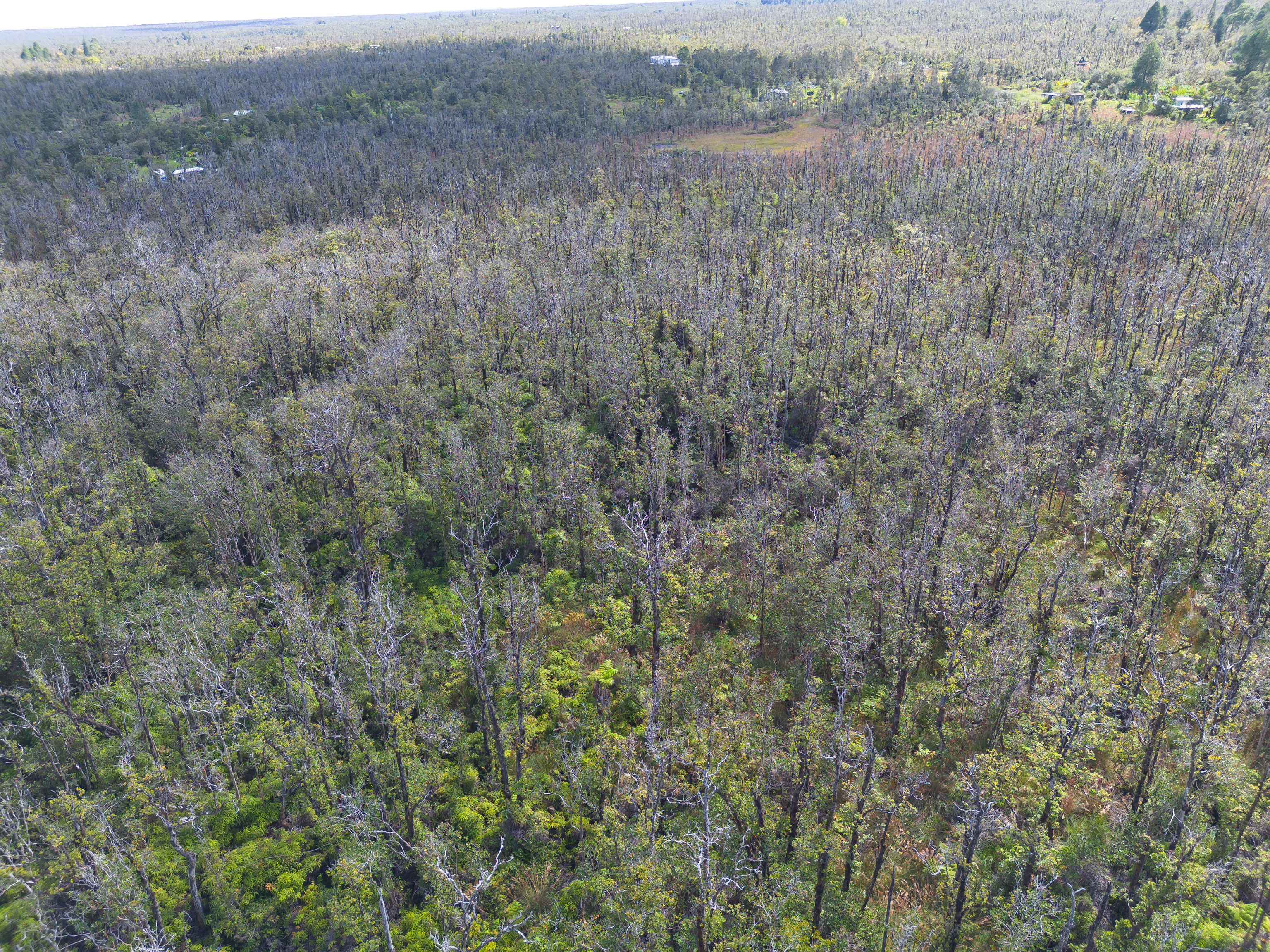 17 Omeka Road Mountain View, HI 96771 - Photo 22 of 30 a view of a lake with a mountain and trees