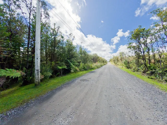 a view of a rural road with plants and trees