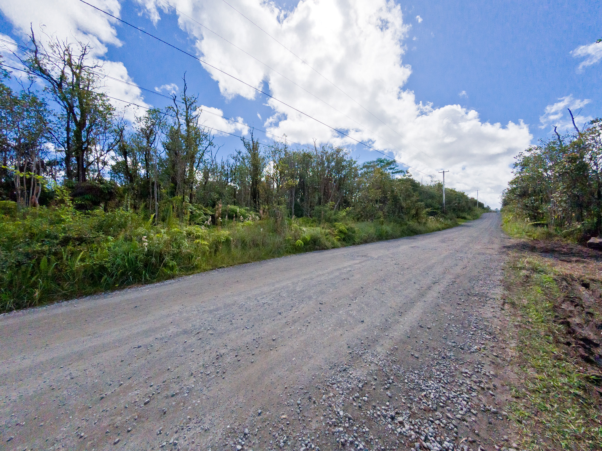 17 Omeka Road Mountain View, HI 96771 - Photo 27 of 30 a view of a rural road with plants and trees